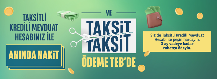 Taksitli Kredili Mevduat Hesabı